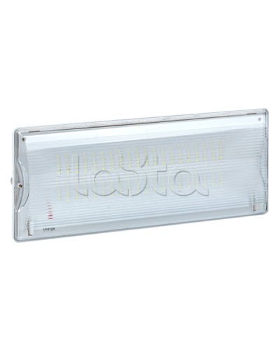 Светильник аварийного освещения SAFEWAY-40 LED EKF Proxima (dpa-202) в Ижевске Светильники Pintop.ru