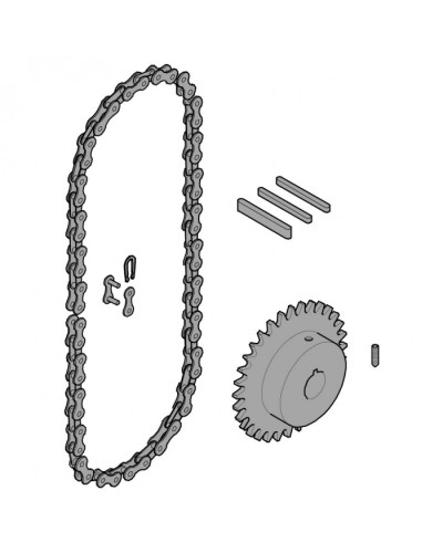 Передающая система (цепь и звездочки) C005 Came 119RICX016 в Ижевске Запчасти для шлагбаумов и автоматики Pintop.ru