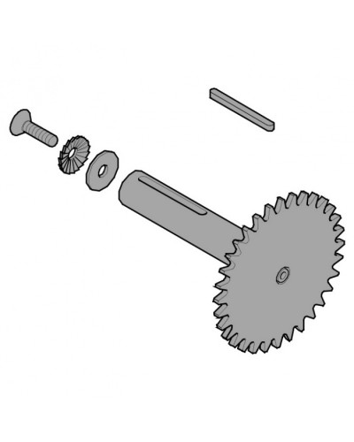 Звездочка C003 C004 C005 Came 119RICX013 в Ижевске Запчасти для шлагбаумов и автоматики Pintop.ru