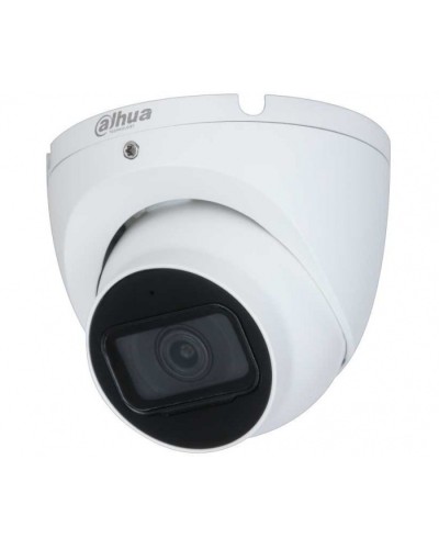 IP-камера видеонаблюдения уличная купольная Dahua DH-IPC-HDW2230TP-AS-0280B-S2 в Ижевске IP-камеры Pintop.ru