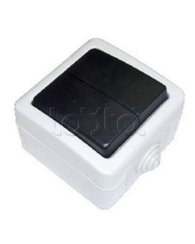 Экопласт EF602SA Переключатель 2-полюсный, двухклавишный с 2-х мест (сх.6+6) 10A (сер.) в Ижевске Розетки компьютерные и телефонные Pintop.ru