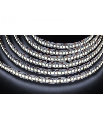 Лента светодиодная Navigator 14 459 NLS-2835CW240-24-IP20-12V в Ижевске Источники света(Лампы) Pintop.ru