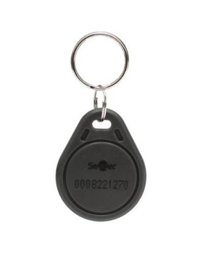 Брелок EmMarin Smartec ST-PT011EM-GR в Ижевске Оптовые идентификаторы Pintop.ru