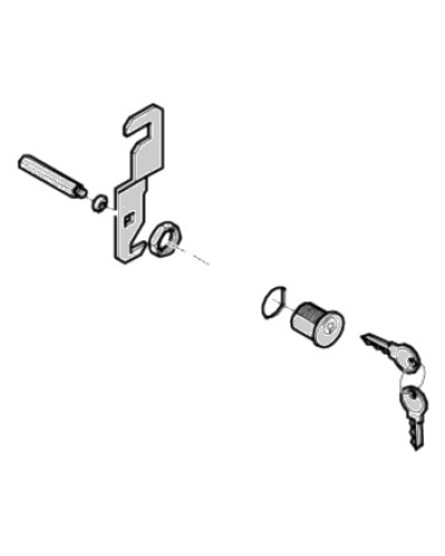 Замок дверцы G4040 G4041 Came 119RIG176 в Ижевске Запчасти для шлагбаумов и автоматики Pintop.ru