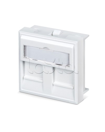 Вставка 45x45 (аналог Mosaic) для 2 модулей формата Keystone Jack Cabeus FP-45-2M в Ижевске Модули Keystone Pintop.ru