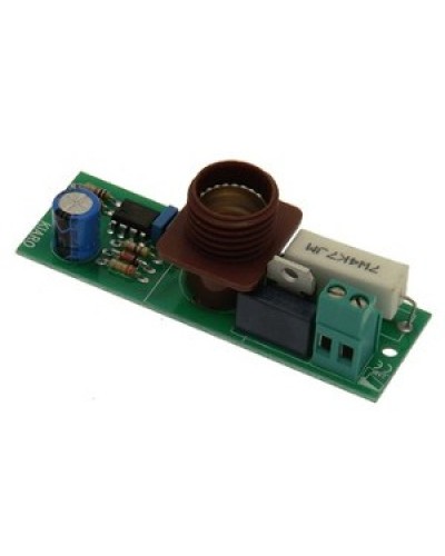 Плата лампы KIARO 24 Came 119RIR030 в Ижевске Запчасти для шлагбаумов и автоматики Pintop.ru