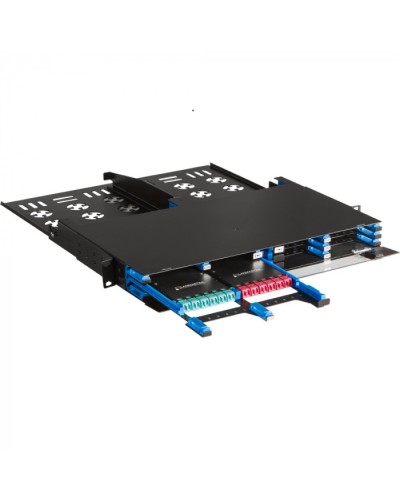 Бокс 19 на 12 компактных кассет MPO, 1U, черный LANMASTER (LAN-FOBM-12MCC-1U) в Ижевске Патч-корды оптические Pintop.ru