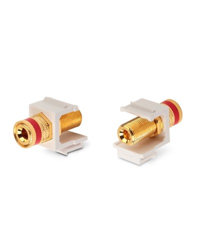 Вставка Hyperline (KJ1-BP/RD-HG-WH) в Ижевске Коннекторы Pintop.ru