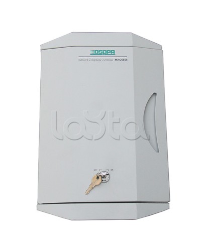 IP-панель экстренной связи DSPPA MAG-6505 в Ижевске Система оповещения и трансляции Dsppa Pintop.ru