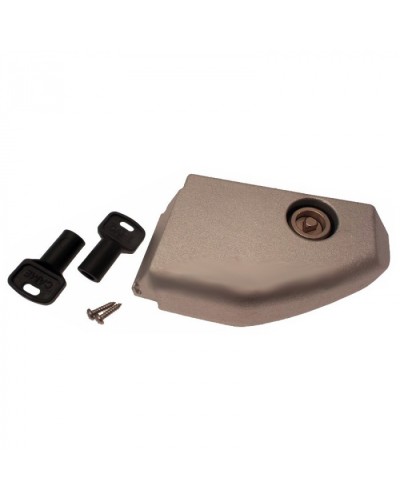 Дверца разблокировки с замком BX Came 119RIBX008 в Ижевске Запчасти для шлагбаумов и автоматики Pintop.ru