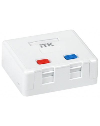 Корпус настенной розетки для 2 мод. Keystone Jack ITK (CS2-022) в Ижевске Коннекторы Pintop.ru