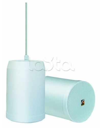 Громкоговоритель встраиваемый ROXTON SP-20T в Ижевске Система оповещения и трансляции Roxton Pintop.ru