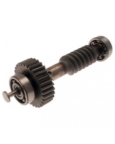 Червяк редуктора FAST в сборе Came 119RID228 в Ижевске Запчасти для шлагбаумов и автоматики Pintop.ru