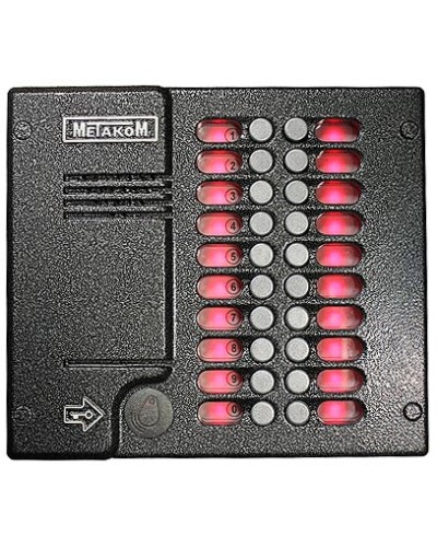 Блок вызова домофона Метаком MK20.2-RFEV в Ижевске Вызывные видеопанели малоабонентные Pintop.ru