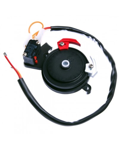 Концевые микровыключатели в сборе BX-243 Came 119RIBX041 в Ижевске Запчасти для шлагбаумов и автоматики Pintop.ru