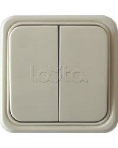 Выключатель двухклавишный открытой установки Экопласт, схема 5, (бежевый) в Ижевске Розетки компьютерные и телефонные Pintop.ru