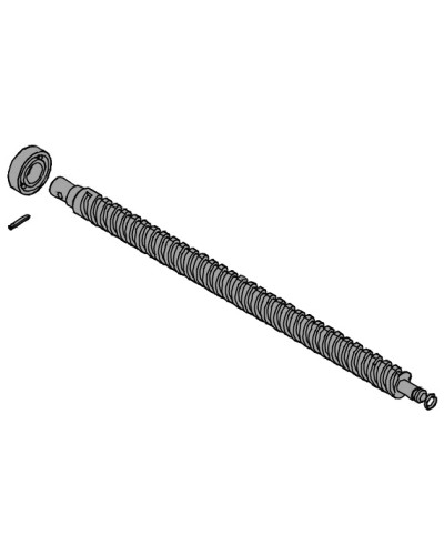 Винт ходовой AX302304, AX3024, АХ402306, AX412306 Came 119RID319 в Ижевске Запчасти для шлагбаумов и автоматики Pintop.ru