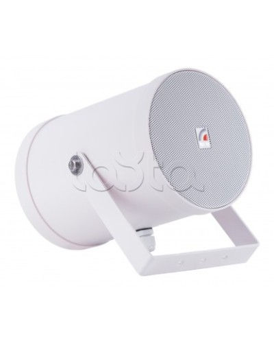 Двунаправленный Прожектор звуковой ROXTON SW-10T2 в Ижевске Система оповещения и трансляции Roxton Pintop.ru