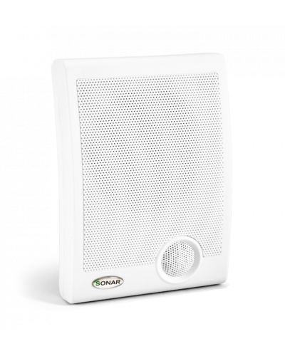 Громкоговоритель настенный Sonar SWP-110-105 в Ижевске Система оповещения и трансляции Sonar Pintop.ru