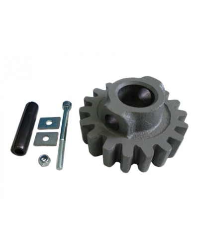 Шестерня ведущая ВК Came 119RIBK002 в Ижевске Запчасти для шлагбаумов и автоматики Pintop.ru