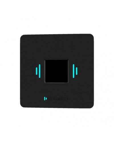 Считыватель вен ладоней BioSmart PALMJET BOX (крепление на плоскость) в Ижевске Считыватели Pintop.ru