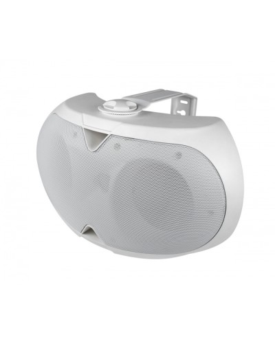 Громкоговоритель настенный 2-х полосный VOLTA ELLIPSE-2440TW в Ижевске Система оповещения и трансляции Volta Pintop.ru