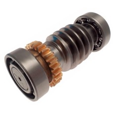 Червяк FROG Came 119RIA016