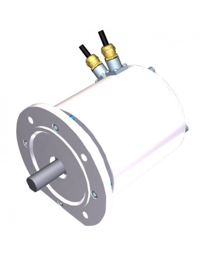 Электродвигатель FROG-MS Came 119RIA081 в Ижевске Запчасти для шлагбаумов и автоматики Pintop.ru