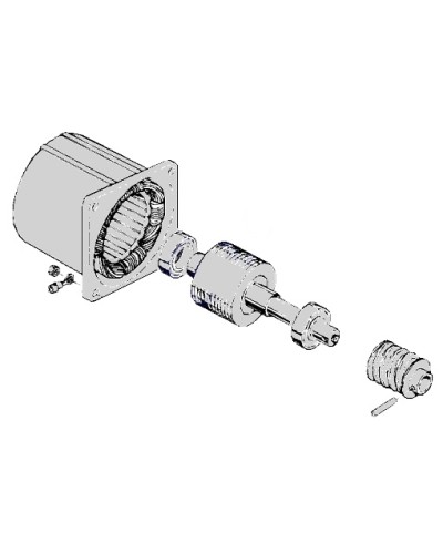 Электродвигатель С-100 Came 119RIC052 в Ижевске Запчасти для шлагбаумов и автоматики Pintop.ru