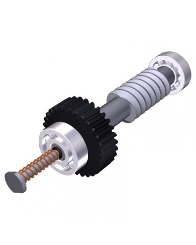 Червяк редуктора FAST40 Came 119RID374 в Ижевске Запчасти для шлагбаумов и автоматики Pintop.ru