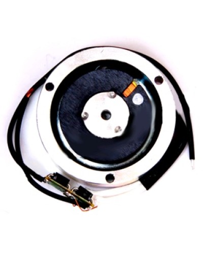 Электромагнит BY1500T Came 119RIY034 в Ижевске Запчасти для шлагбаумов и автоматики Pintop.ru