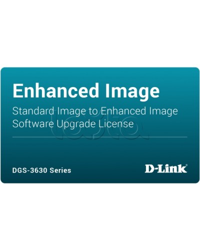 ПО D-Link DGS-3630-28TC-SE-LIC в Ижевске Беспроводное оборудование Pintop.ru