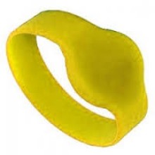 Браслет EM-Marin IronLogic IL-10D54EY