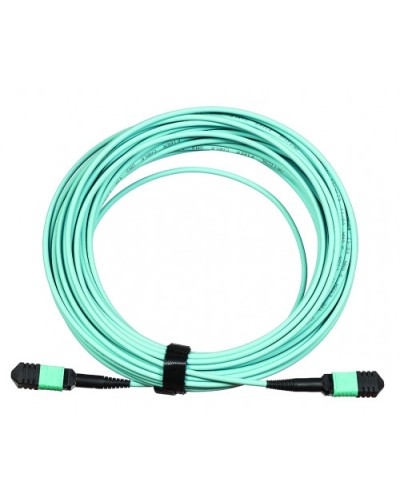 Сборка кабельная LANMASTER (LAN-12M-12M/OM3B-5.0) в Ижевске Коннекторы Pintop.ru