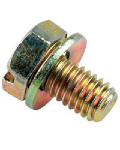 Винт с шайбой М6х10мм TH Legrand 036775 в Ижевске Крепеж Pintop.ru