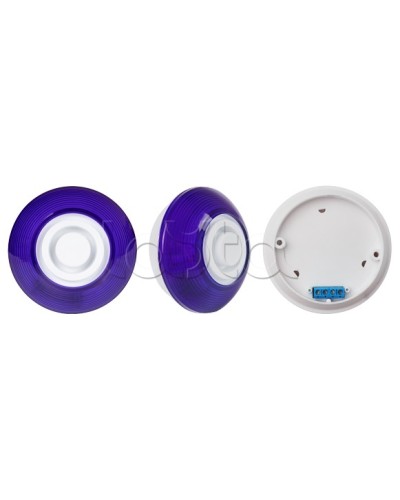 Оповещатель комбинированный SLT Марс 12-КП (строб, син) в Ижевске Оповещатели Pintop.ru