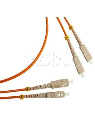 Патч-корд оптический TWT-2ST-2FC/SA-10 в Ижевске Патч-корды оптические Pintop.ru