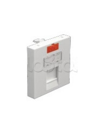 Лицевая панель информационной розетки, 1 вход, белый, 45 х 45 мм 2 модуля Экопласт (87013) в Ижевске Аксессуары для кабель-канала Pintop.ru