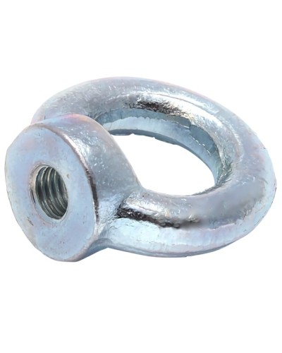 Рым-гайка М10 DIN 582 (50 шт/уп) Промрукав (PR08.3905) в Ижевске Крепеж Pintop.ru