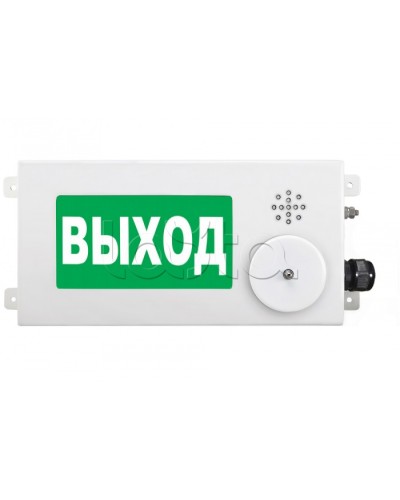 Табло световое взрывозащищенное Спектрон ТСВ-Exm-М-Прометей-МИНИ 12-36 В ПОЖАР в Ижевске Оповещатели Ex Pintop.ru