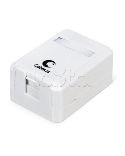 Корпус внешней настенной розетки на 1 Keystone Cabeus MB-1 в Ижевске Дополнительное оборудование для сетей Pintop.ru