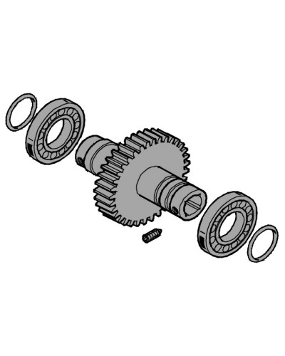Вал выходной EMEGA Came 119RIE062 в Ижевске Запчасти для шлагбаумов и автоматики Pintop.ru