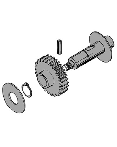 Вал в сборе C100 Came 119RIC011 в Ижевске Запчасти для шлагбаумов и автоматики Pintop.ru