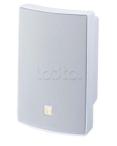 Громкоговоритель универсальный двухполосный TOA BS-1030W в Ижевске Системы оповещения и трансляции TOA Pintop.ru