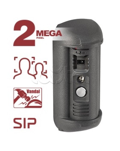 Панель вызывная Beward DSN85017P-FC1 в Ижевске Вызывные IP панели Pintop.ru