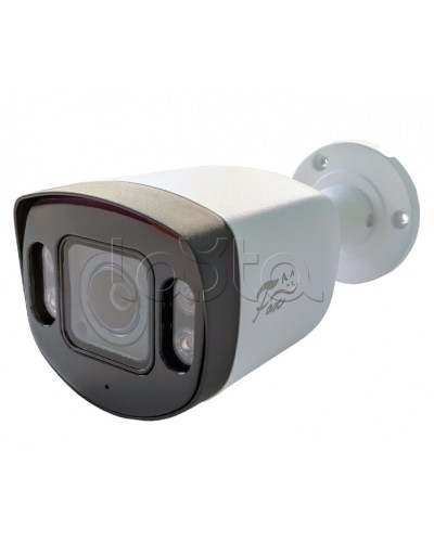 IP-камера видеонаблюдения в стандартном исполнении Fox FX-IPC-C40AP-IR H.265 AI в Ижевске IP-камеры Pintop.ru