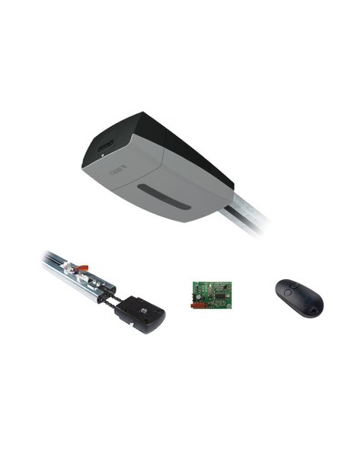 Комплект автоматики для секционных ворот Came V10DMS2.25 KIT (до 2,25 м до 18 м2) в Ижевске Автоматизация ворот Pintop.ru