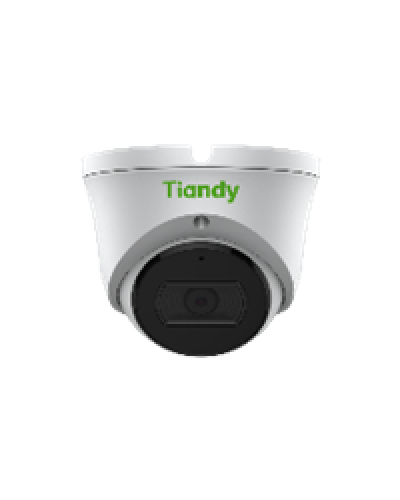 Уличная купольная IP-камера Tiandy TC-C32XN Spec:I3/E/Y/2.8mm/V4.1 в Ижевске IP-камеры Pintop.ru