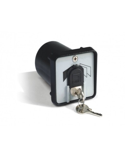 Ключ-выключатель с защитой цилиндра, встраиваемый Came 001SET-K в Ижевске Запчасти для шлагбаумов и автоматики Pintop.ru