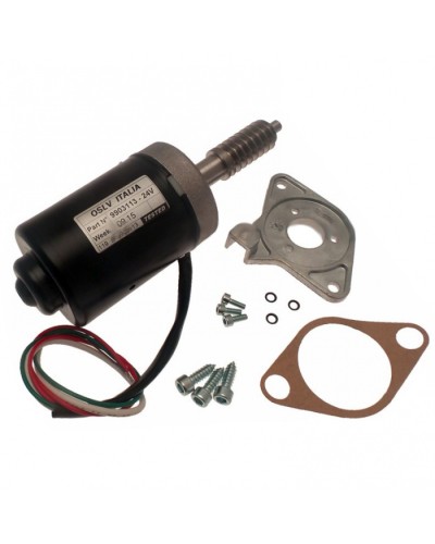 Электродвигатель BX-243 в сборе Came 119RIBX046 в Ижевске Запчасти для шлагбаумов и автоматики Pintop.ru